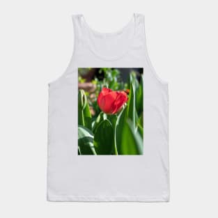 Red Tulip flower with green leaves Tank Top